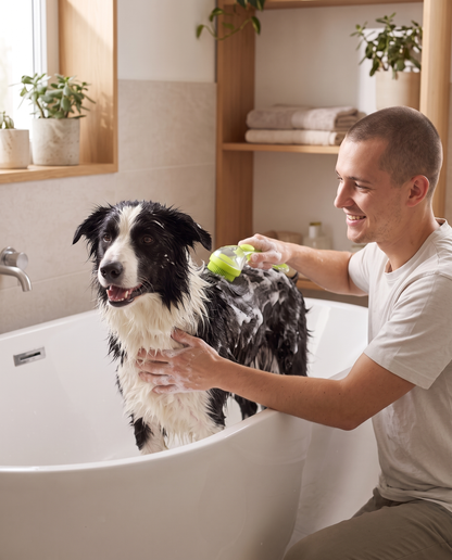 Bathing a border collie with the green OneHand Bath brush